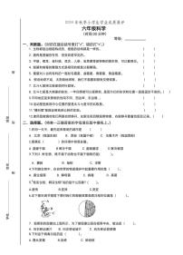 山东省枣庄滕州市2024-2025学年六年级上学期期中科学试题