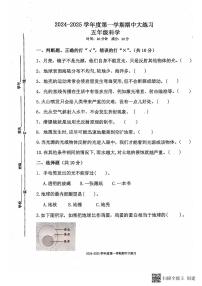 海南省陵水黎族自治县2024-2025学年五年级上学期期中科学试题