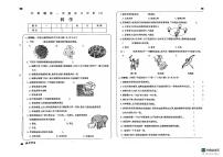 山东省德州市宁津县宁津县第四实验中学（小学部）、希望小学等2024-2025学年六年级上学期11月期中科学试题