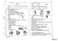 山东省德州市宁津县宁津县第四实验中学（小学部）、希望小学等2024-2025学年五年级上学期11月期中科学试题