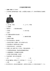 河南省郑州市金水区农科路小学教育集团2024-2025学年六年级上学期11月期中科学试题