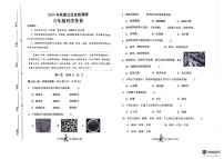 河南省南阳市西峡县2024-2025学年六年级上学期期中考试科学试题