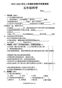 山东省临沂市兰山区多校2024-2025学年上学期期中五年级科学试题