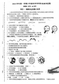 浙江省杭州市拱墅区文渊小学2024-2025学年六年级上学期科学期中测试卷