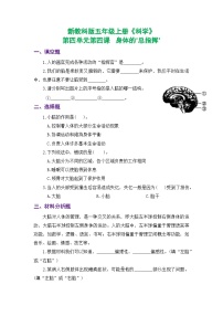 小学科学教科版（2024）五年级上册4.身体的 “总指挥”练习