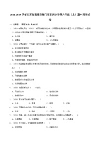 江苏省南通市海门区东洲小学等2024-2025学年六年级上学期11月期中科学试题