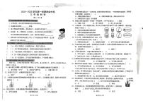 广东省深圳市宝安区2024-2025学年三年级上学期期中科学试题