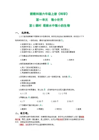 小学科学教科版（2024）六年级上册6.观察水中微小的生物优秀练习题
