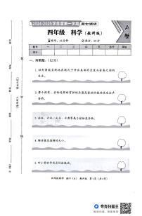 河北省邯郸市临漳县临漳县南东坊镇中心校2024-2025学年四年级上学期11月期中科学试题