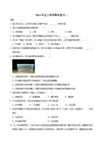 期末试卷（试题）2024-2025学年五年级上册科学教科版
