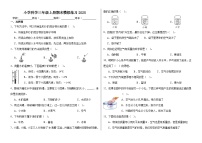 期末模拟练习（试题）-2024-2025学年科学三年级上册苏教版