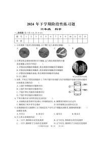 湖南省岳阳市临湘市2024-2025学年六年级上学期期中考试科学试题