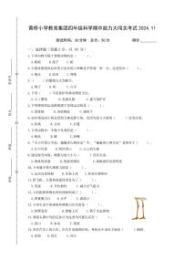 江苏省泰州市泰兴市黄桥小学教育集团2024-2025学年四年级上学期期中能力大闯关考试科学试题