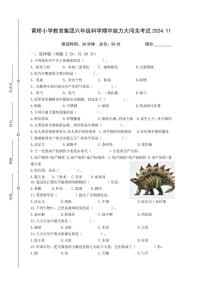 江苏省泰州市泰兴市黄桥小学教育集团2024-2025学年六年级上学期期中能力大闯关考试科学试题