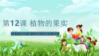 小学科学青岛版（六三制）(2024)三年级下册（2017）第四单元 植物的繁殖12 植物的果实完美版课件ppt