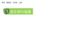 小学科学7.微生物与健康教学课件ppt