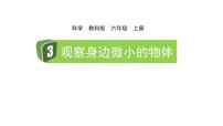 教科版（2024）六年级上册3.观察身边微小的物体教学ppt课件