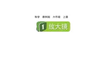 小学科学教科版（2024）六年级上册1.放大镜教学ppt课件