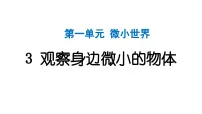 小学教科版（2024）3.观察身边微小的物体作业课件ppt