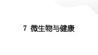 小学科学7.微生物与健康作业课件ppt