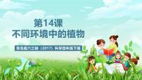 青岛版（六三制）(2024)四年级下册（2017）13 不同环境中的植物优质ppt课件