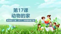 小学科学16 动物的“家”精品课件ppt