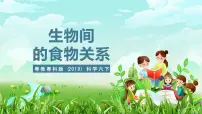 小学粤教粤科版（2024）16 生物间的食物关系精品课件ppt