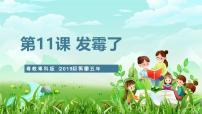 小学粤教粤科版（2024）12 发霉了试讲课ppt课件