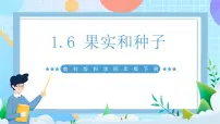 教科版（2024）四年级下册6.果实和种子精品ppt课件