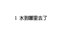 小学教科版1、水作业ppt课件
