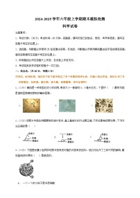 2024-2025学年六年级上学期科学期末模拟试卷（教科版+含答案解析）