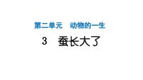 小学科学教科版（2024）三年级下册3.蚕长大了作业ppt课件