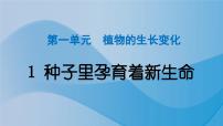 科学四年级下册1.种子里孕育着新生命作业ppt课件