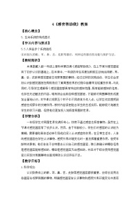 小学科学冀人版（2024）一年级上册（2024）4 感官帮助我教案