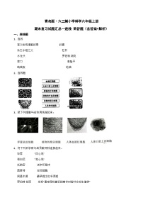 青岛版·六三制小学科学六年级上册期末复习试题汇总--连线 简答题（含答案 解析）