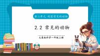 小学科学大象版（2024）一年级上册（2024）2 常见的动物一等奖课件ppt