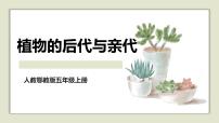 小学科学人教鄂教版（2024）五年级上册6 植物的后代与亲代教学课件ppt
