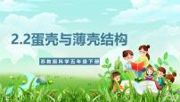 苏教版（2024）五年级下册（2017）6 蛋壳与拱形建筑试讲课课件ppt
