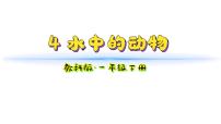 小学教科版（2024）第二单元 常见的动物4.水中的动物教学ppt课件