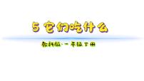 小学科学教科版（2024）一年级下册（2024）第二单元 常见的动物5.它们吃什么教学课件ppt