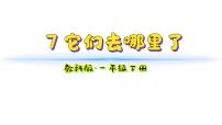 小学科学教科版（2024）一年级下册（2024）7.它们去哪里了教学课件ppt