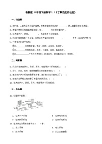 教科版（2024）六年级下册1.了解我们的住房精品测试题