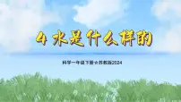 苏教版（2024）一年级下册（2024）4 水是什么样的教学课件ppt
