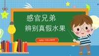 小学科学大象版（2024）一年级上册（2024）1 辨别真假水果教课内容课件ppt