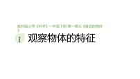 小学科学教科版（2024）一年级下册（2024）1.观察物体的特征教学ppt课件