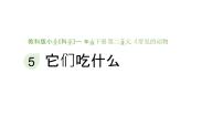 科学一年级下册（2024）第二单元 常见的动物5.它们吃什么教学课件ppt