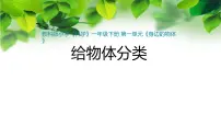 科学一年级下册4.给物体分类说课ppt课件