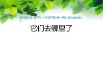 科学一年级下册6.它们去哪里了课文内容课件ppt