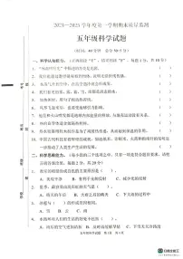 山东省枣庄市峄城区2024-2025学年五年级上学期1月期末科学试题