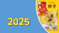 科学一年级下册（2024）5 做泥塑课文ppt课件